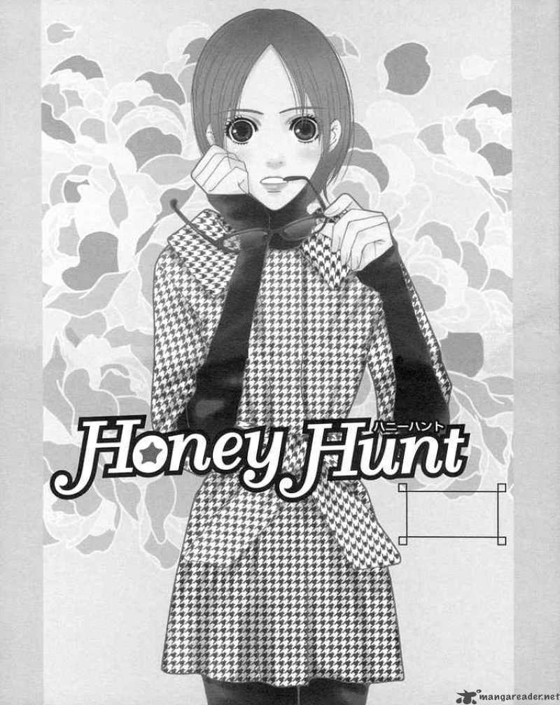 Honey Hunt 1
