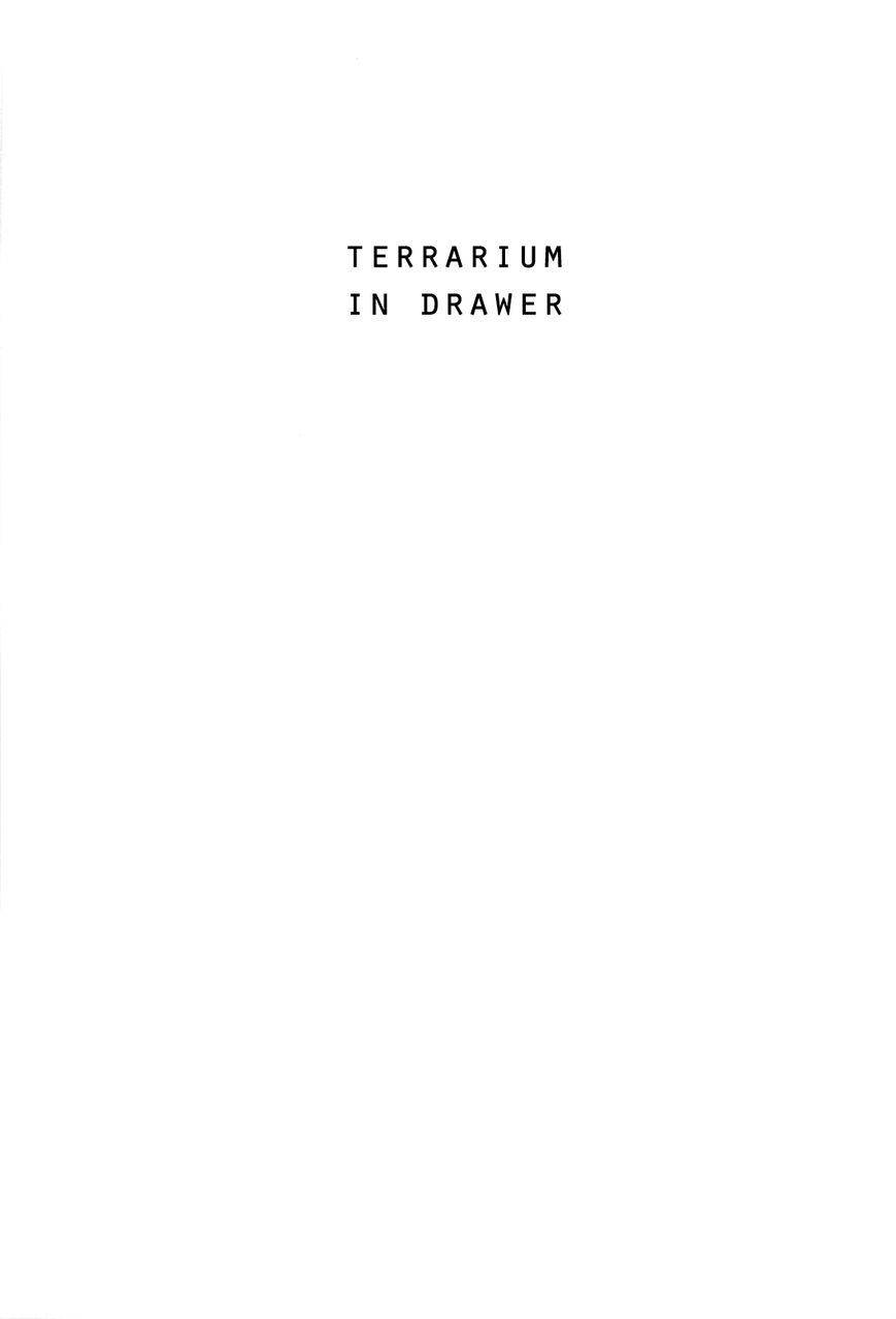 Terrarium in Drawer 1