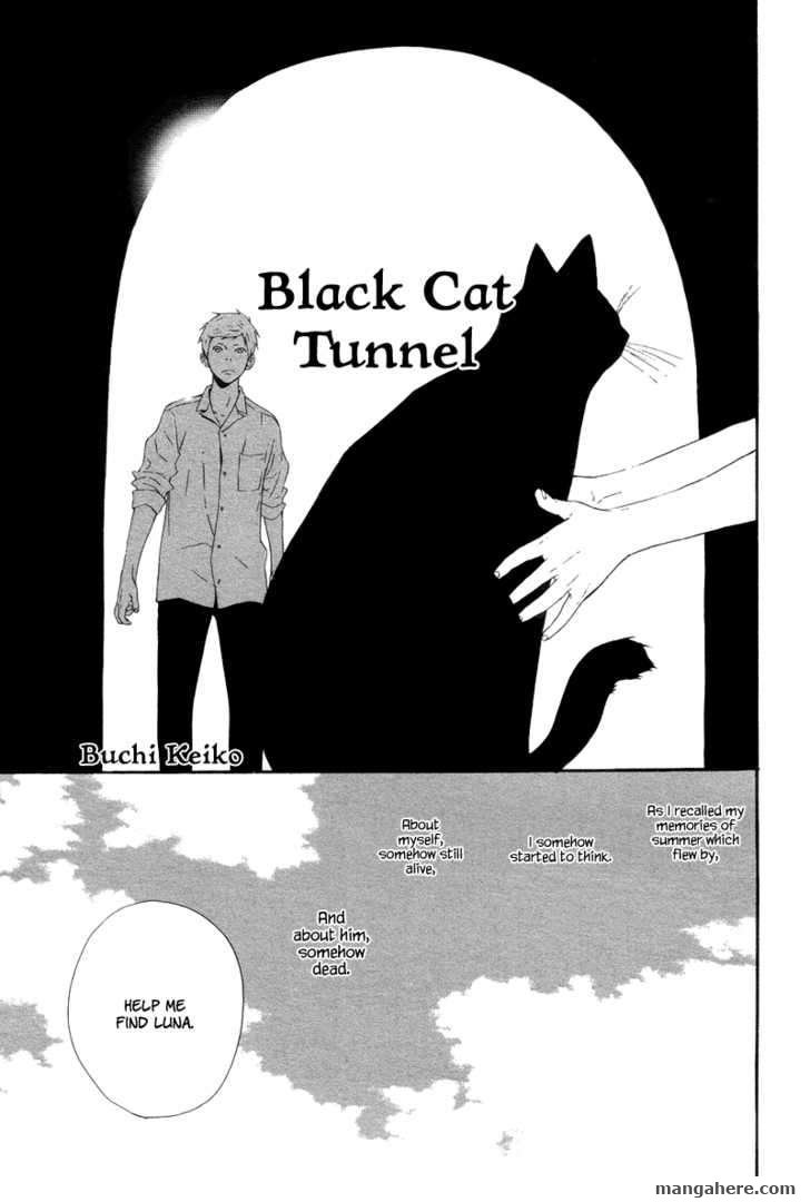 Black Cat Tunnel 1