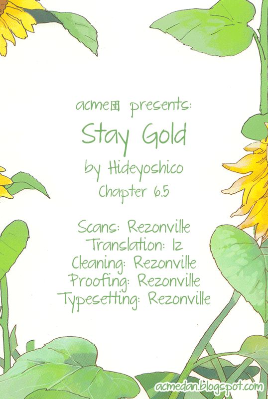 Stay Gold (Hideyoshico) 6.6