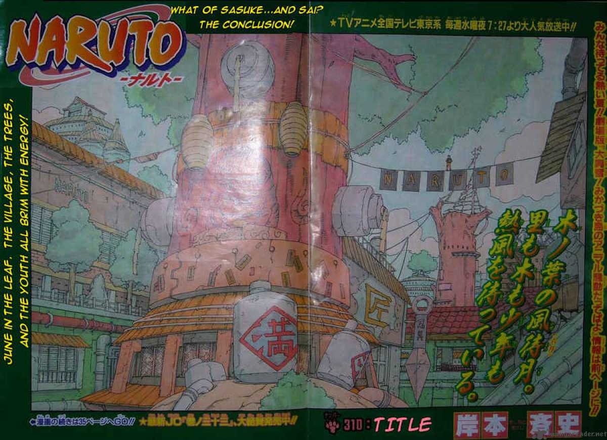 Naruto 310