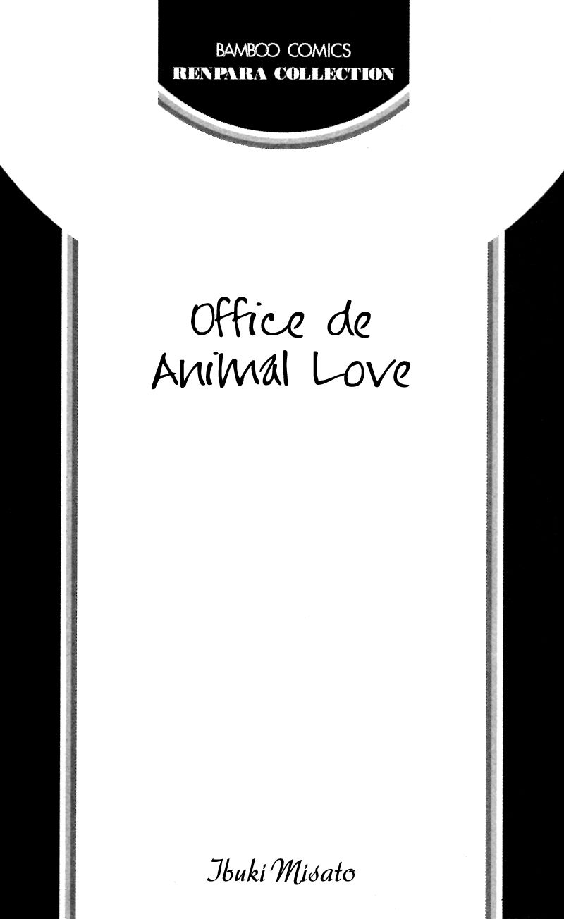 Office de Animal Love 1
