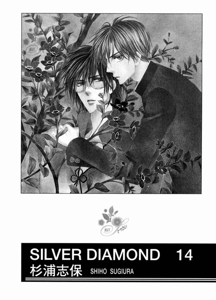 Silver Diamond 40