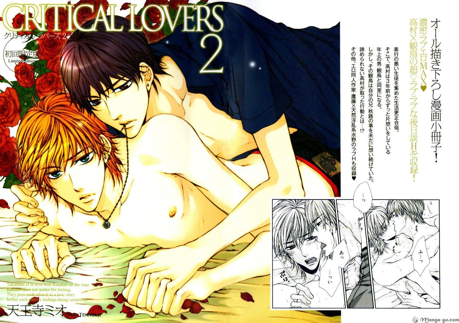 Critical Lovers 2