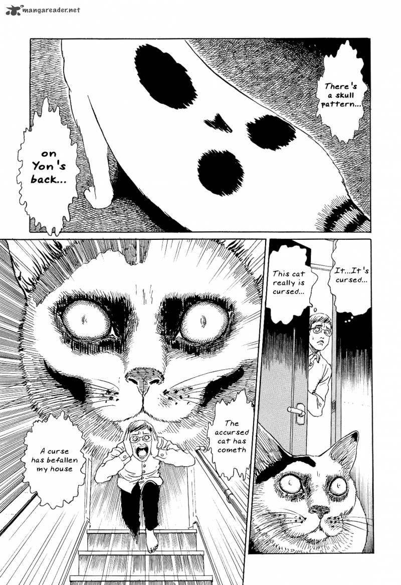 Ito Junji's Cat Diary 2