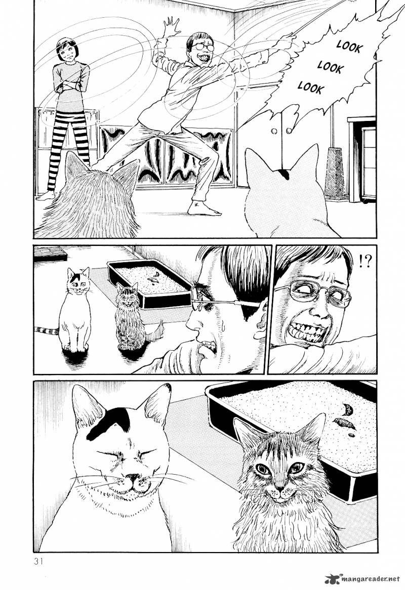 Ito Junji's Cat Diary 3