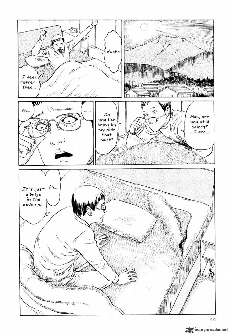 Ito Junji's Cat Diary 4