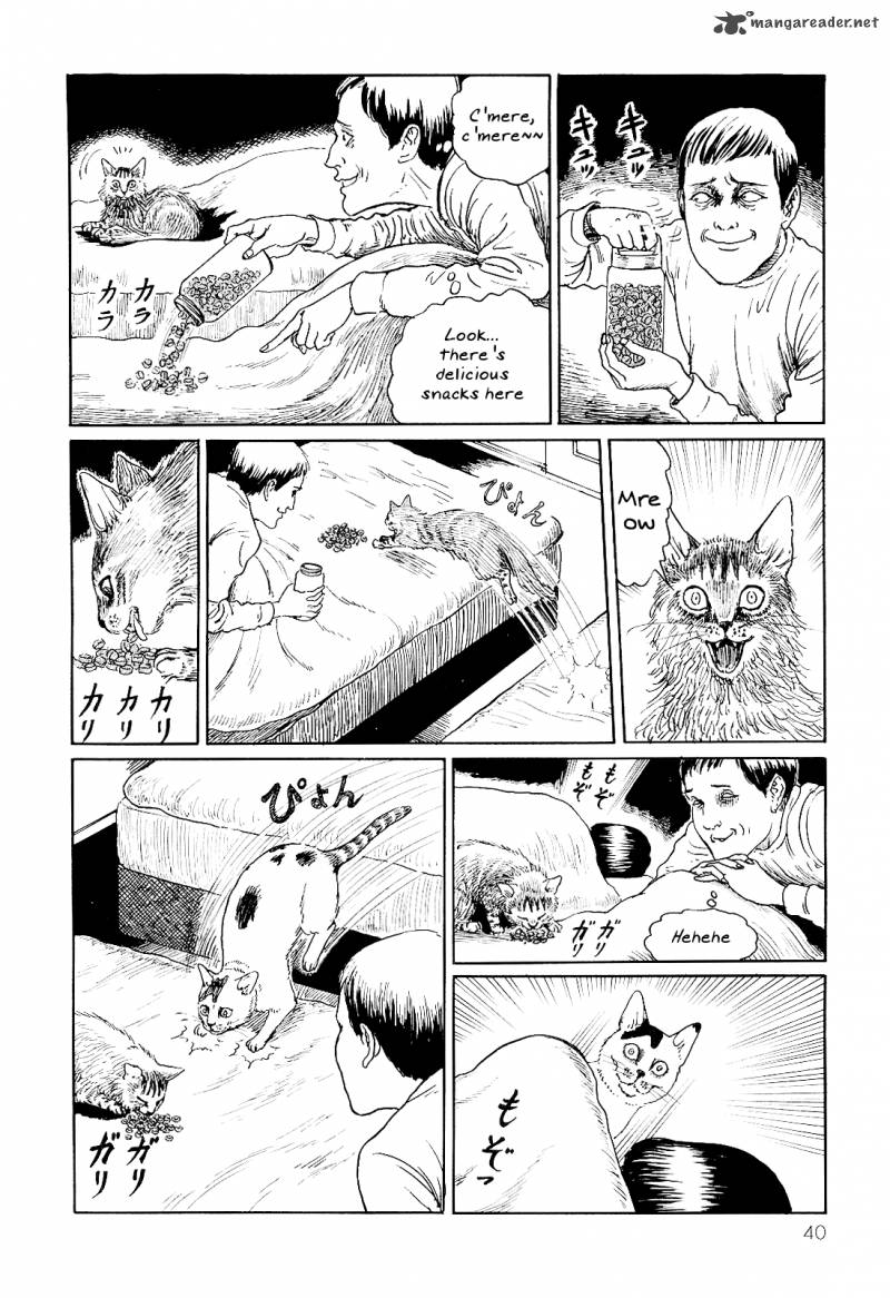 Ito Junji's Cat Diary 4