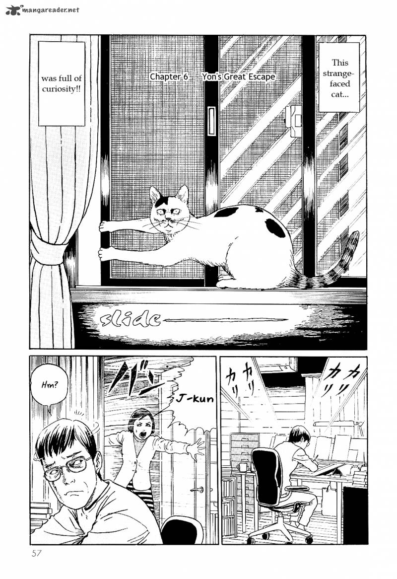 Ito Junji's Cat Diary 6