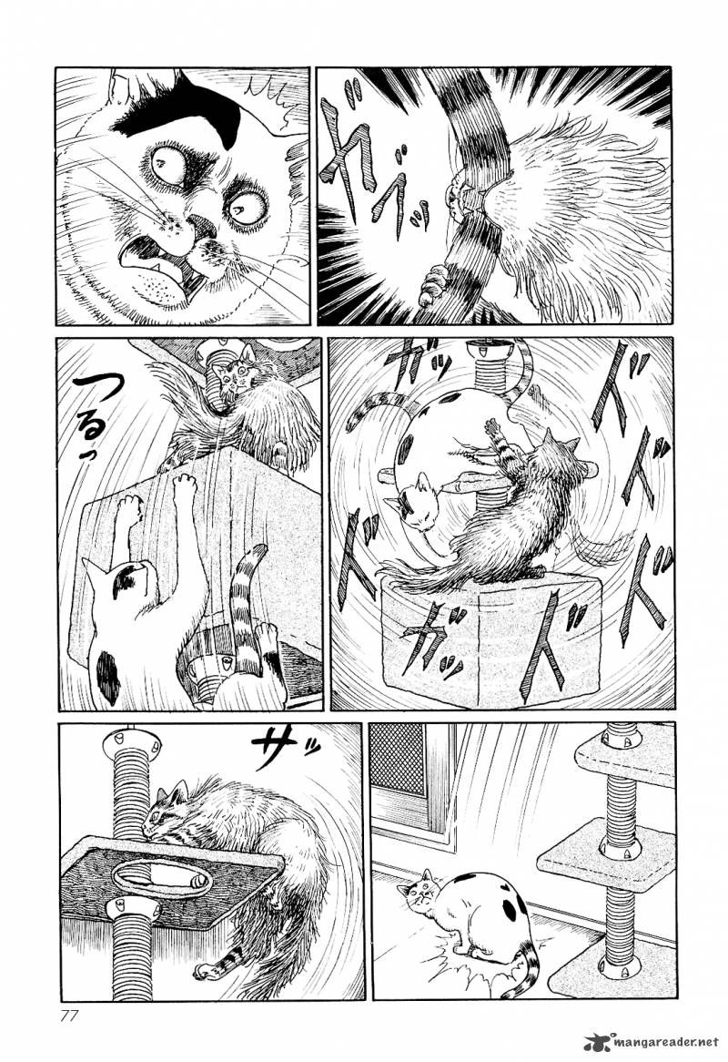 Ito Junji's Cat Diary 7