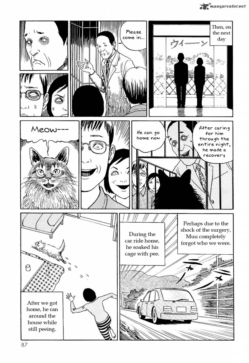 Ito Junji's Cat Diary 8