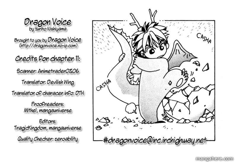 Dragon Voice 11