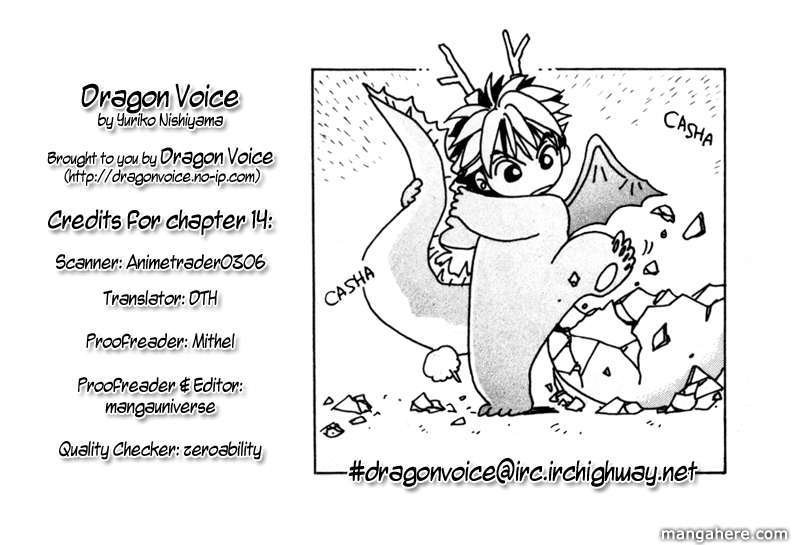Dragon Voice 14