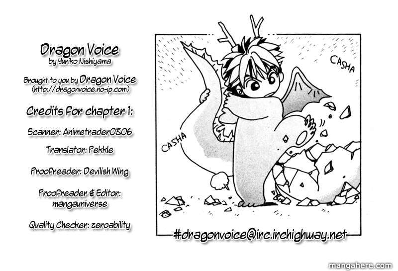 Dragon Voice 16