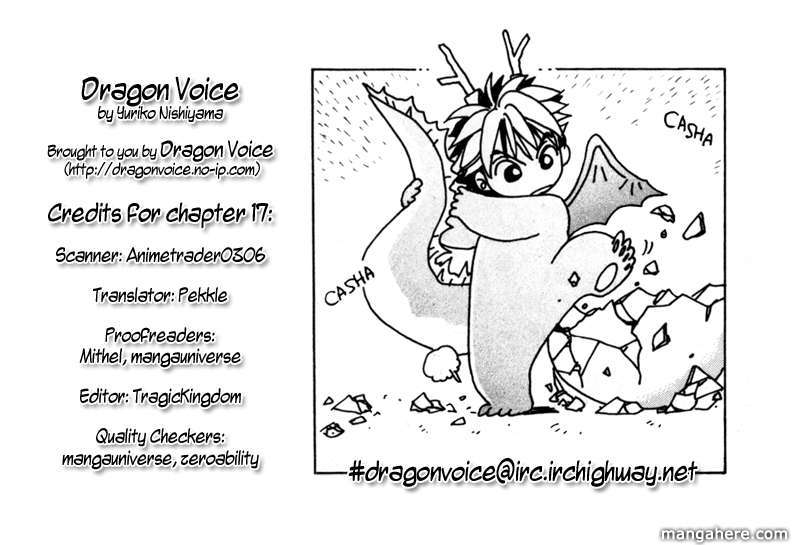 Dragon Voice 17