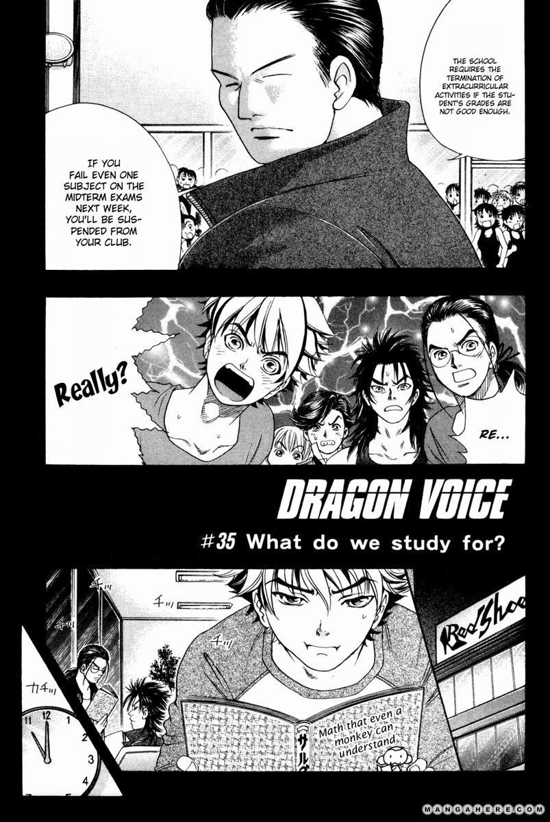 Dragon Voice 35