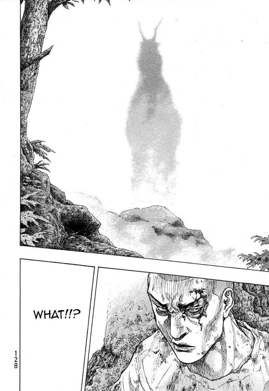 Shamo 332