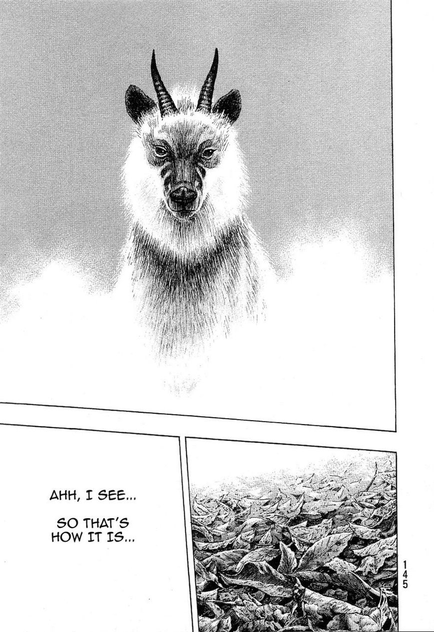 Shamo 332