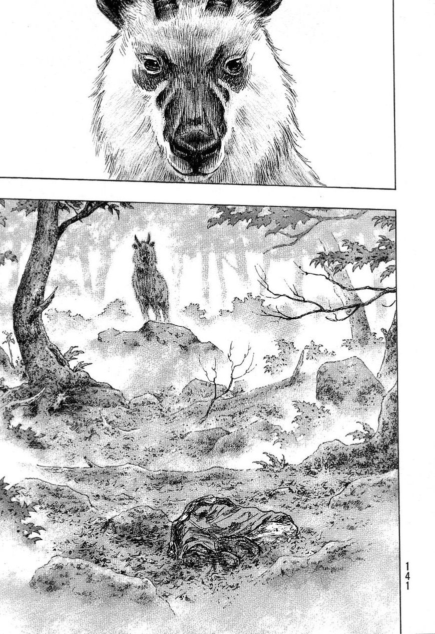 Shamo 332