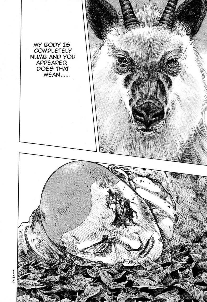 Shamo 332