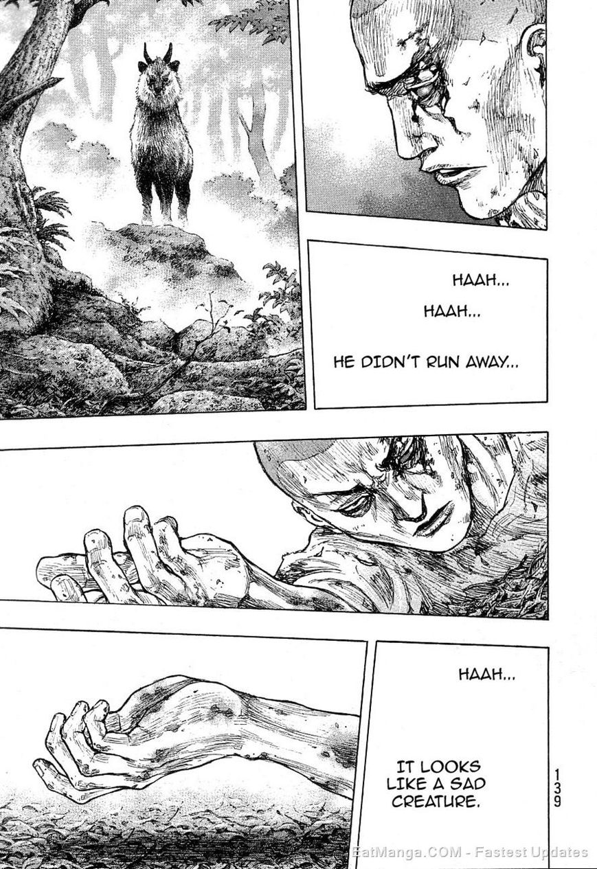 Shamo 332