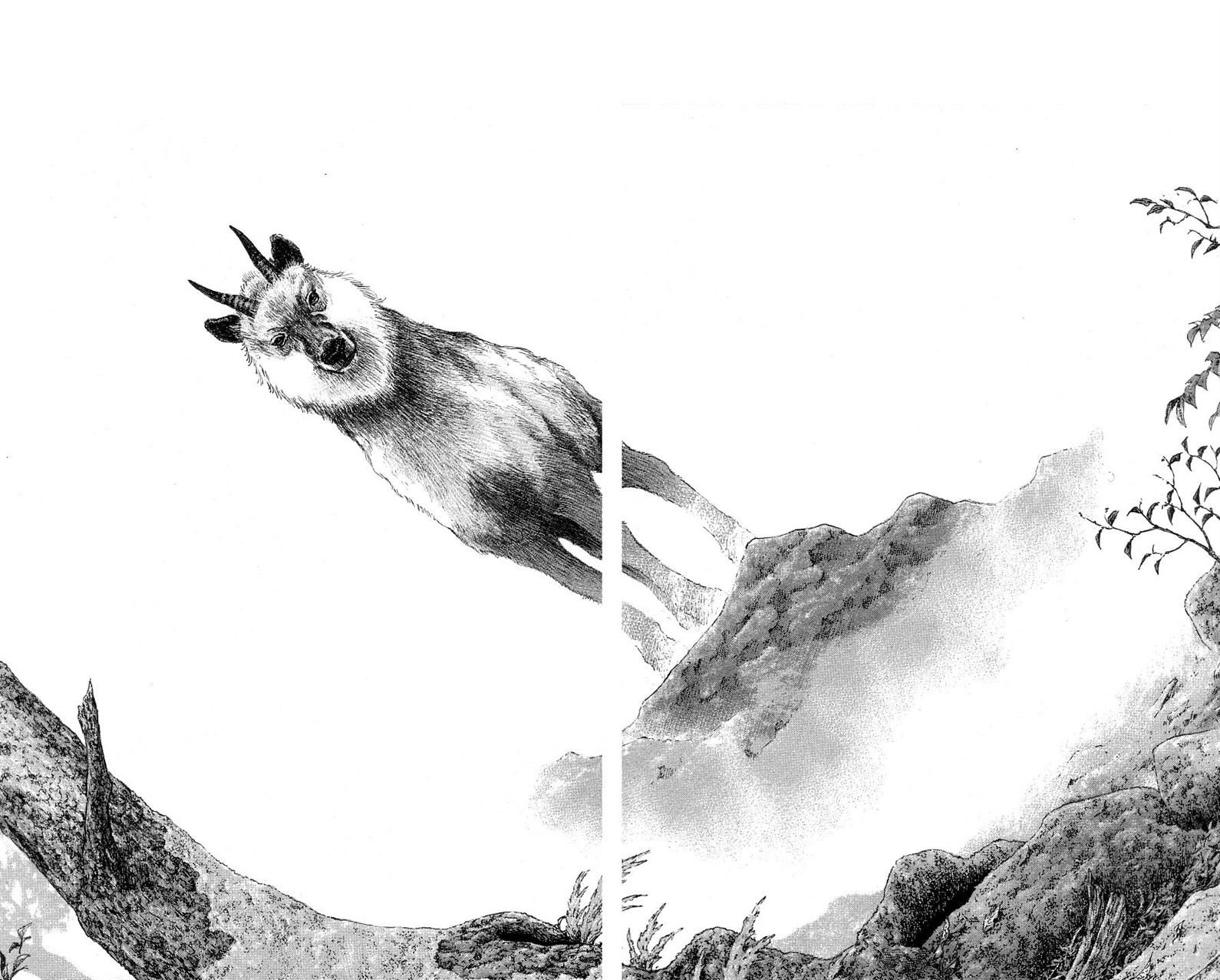 Shamo 332