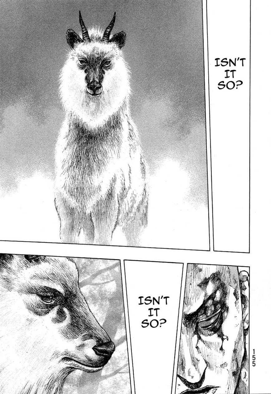 Shamo 333