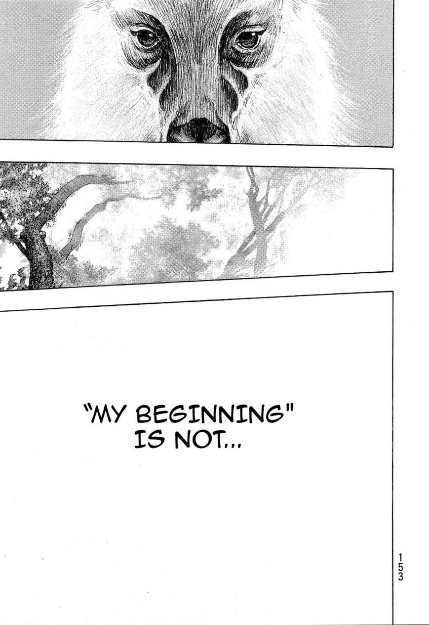 Shamo 333