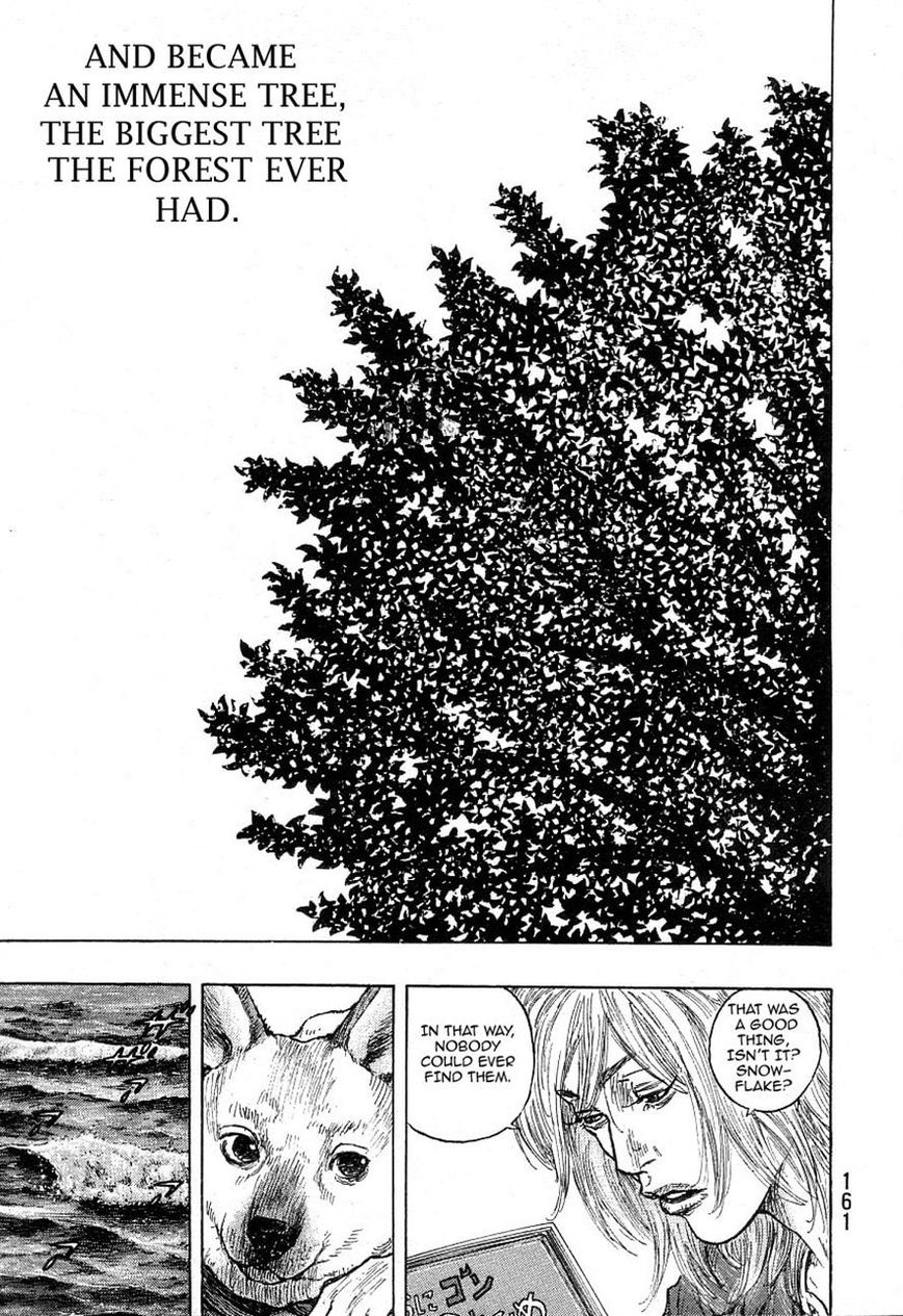 Shamo 333