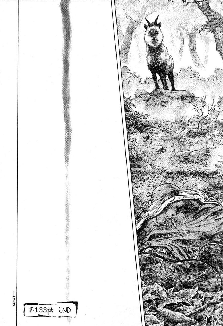 Shamo 333