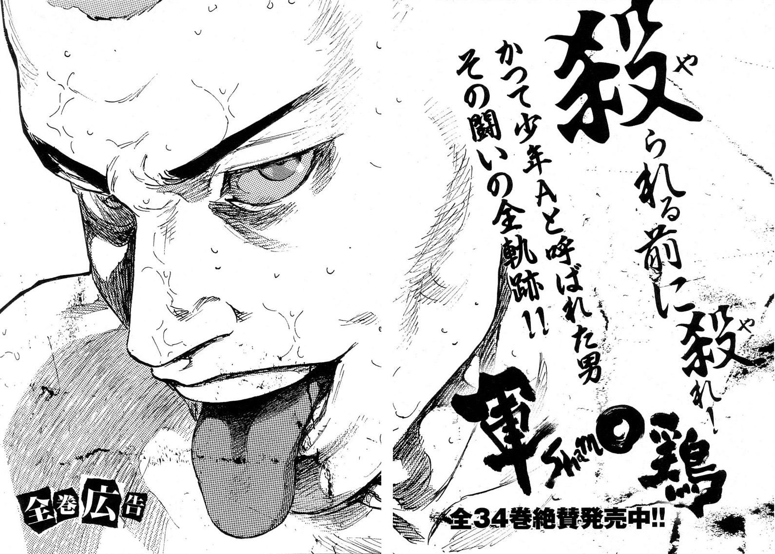 Shamo 334