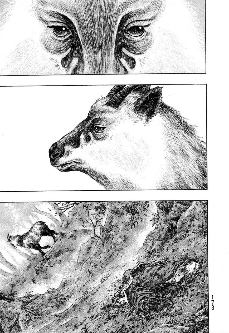 Shamo 334
