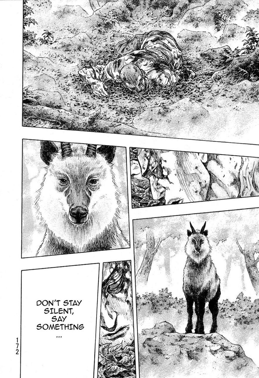 Shamo 334