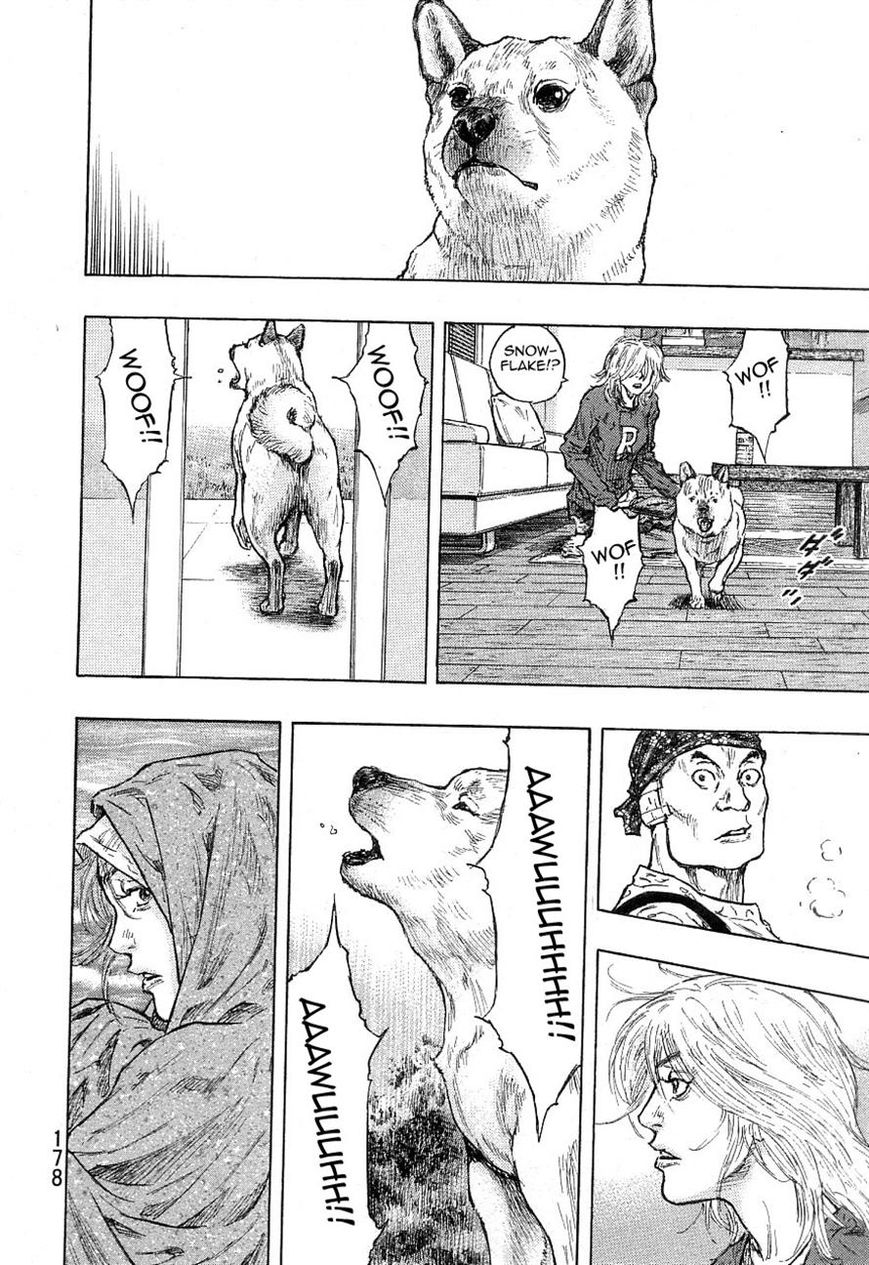 Shamo 334
