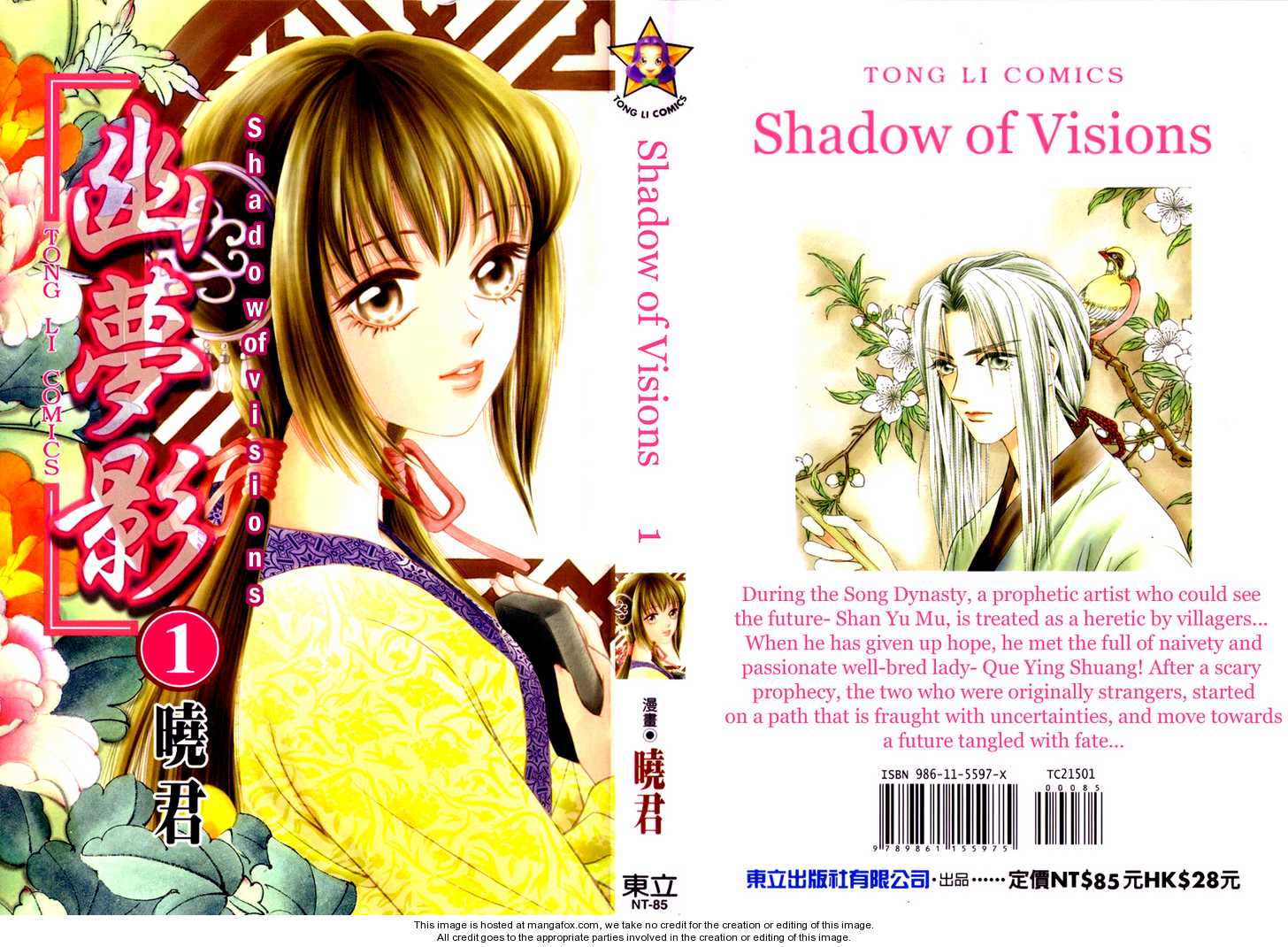 Shadow of Visions 1