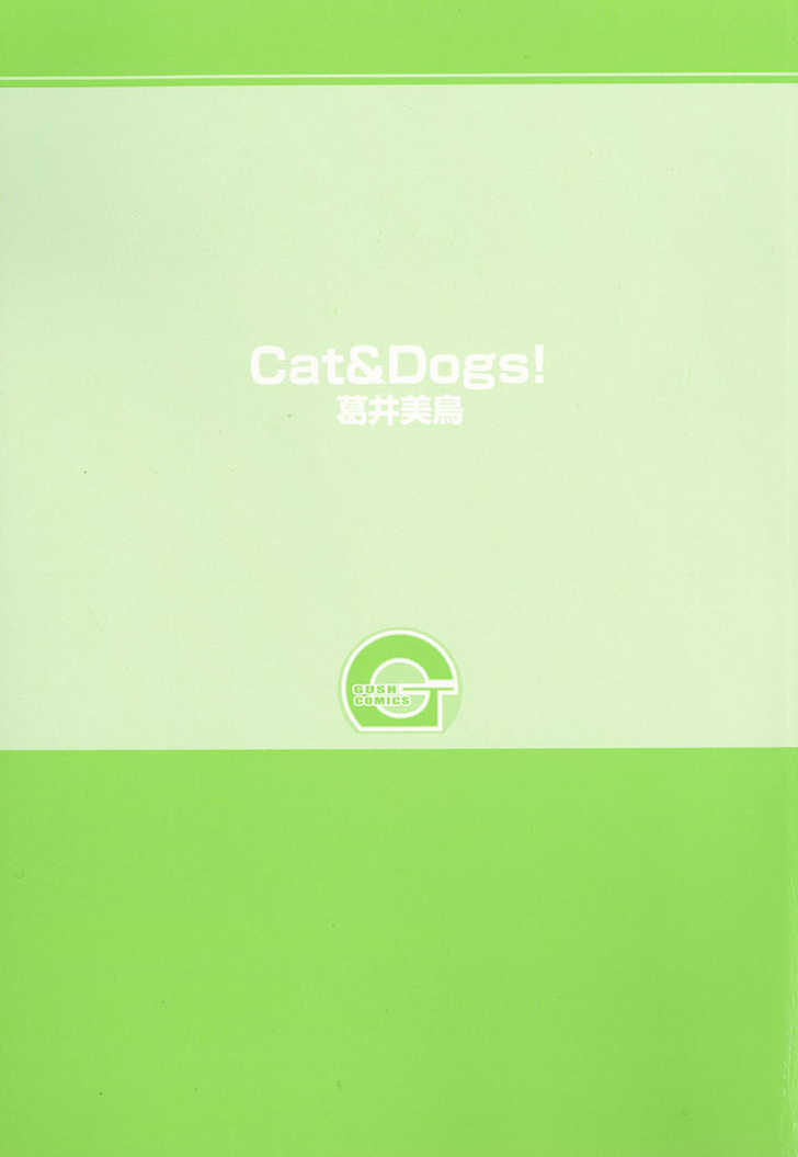 Cat & Dogs! 1
