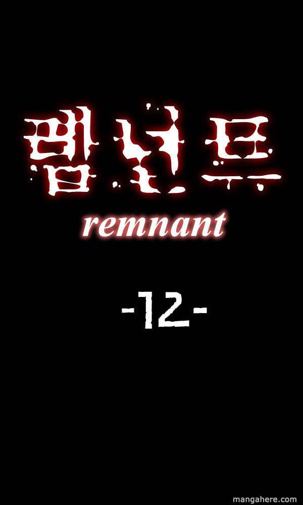 Remnant 12
