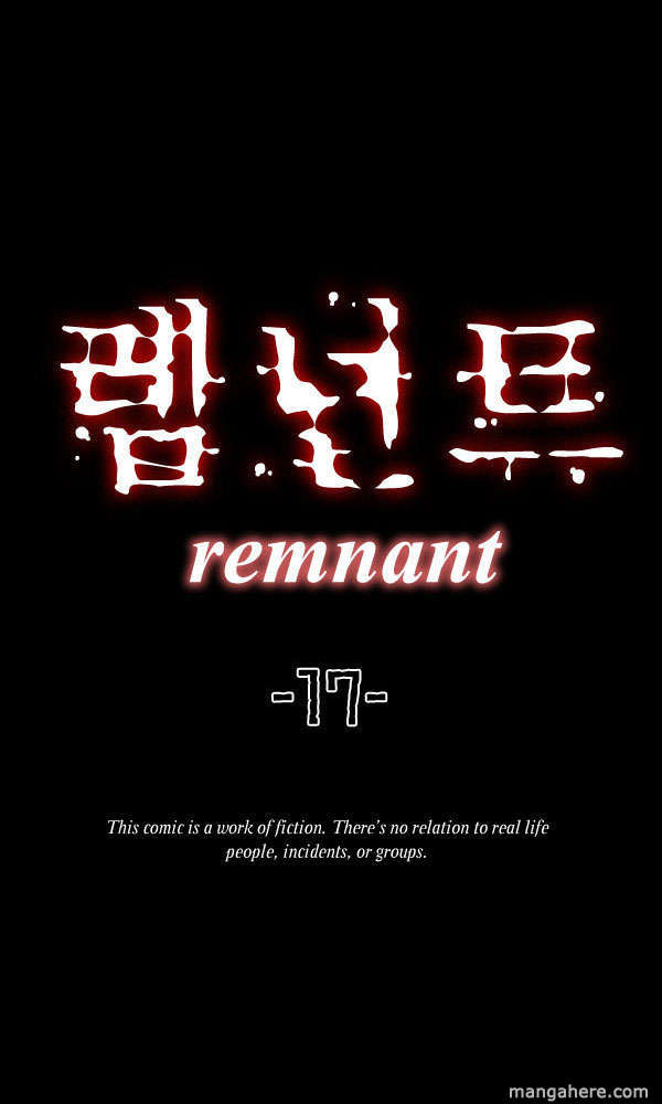 Remnant 17