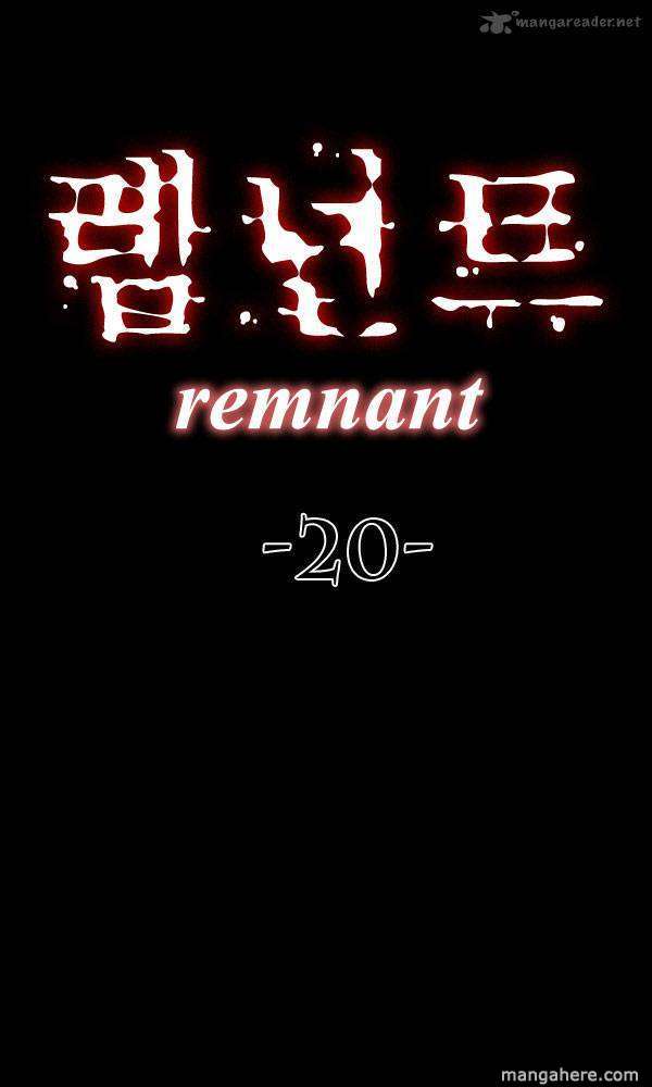 Remnant 20