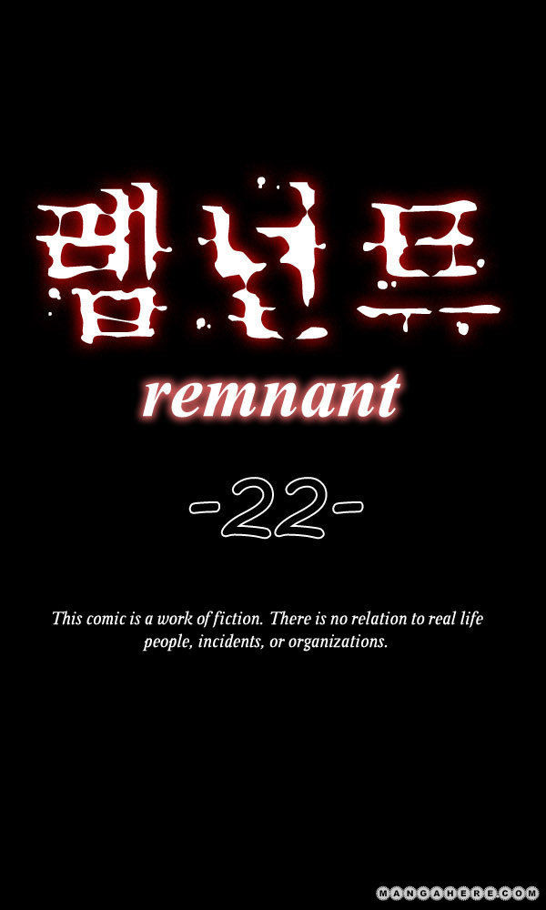 Remnant 22