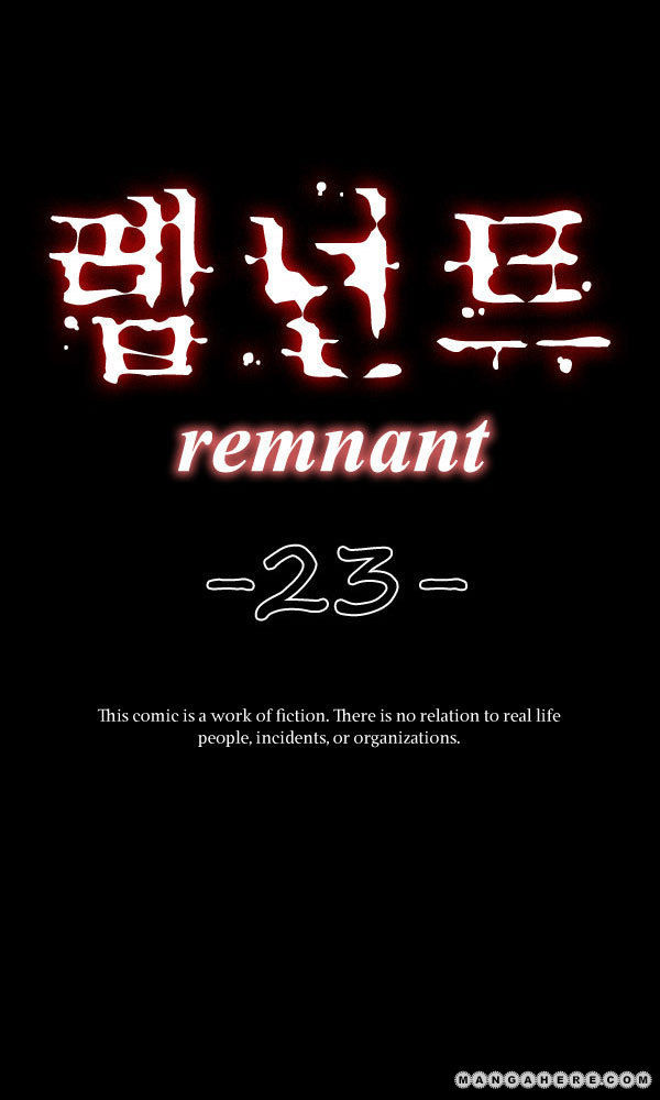 Remnant 23