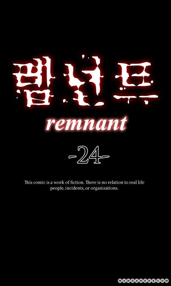 Remnant 24