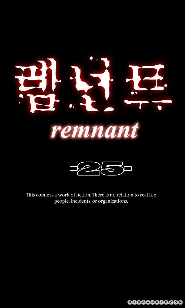Remnant 25