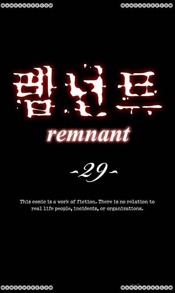 Remnant 29
