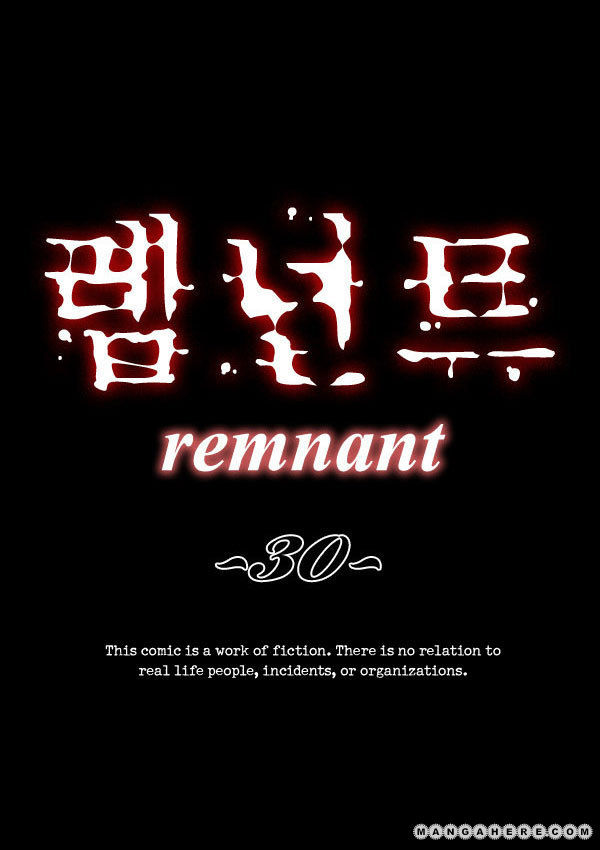 Remnant 30
