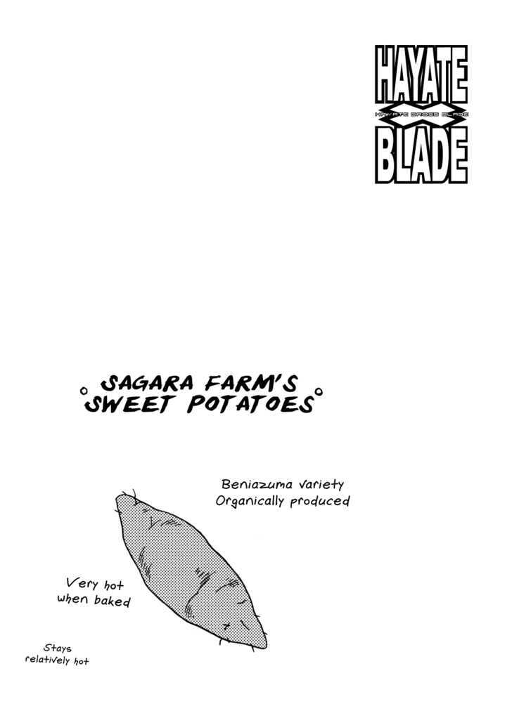 Hayate x Blade 47