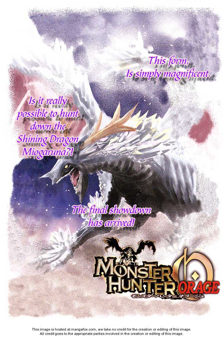 Monster Hunter Orage 14