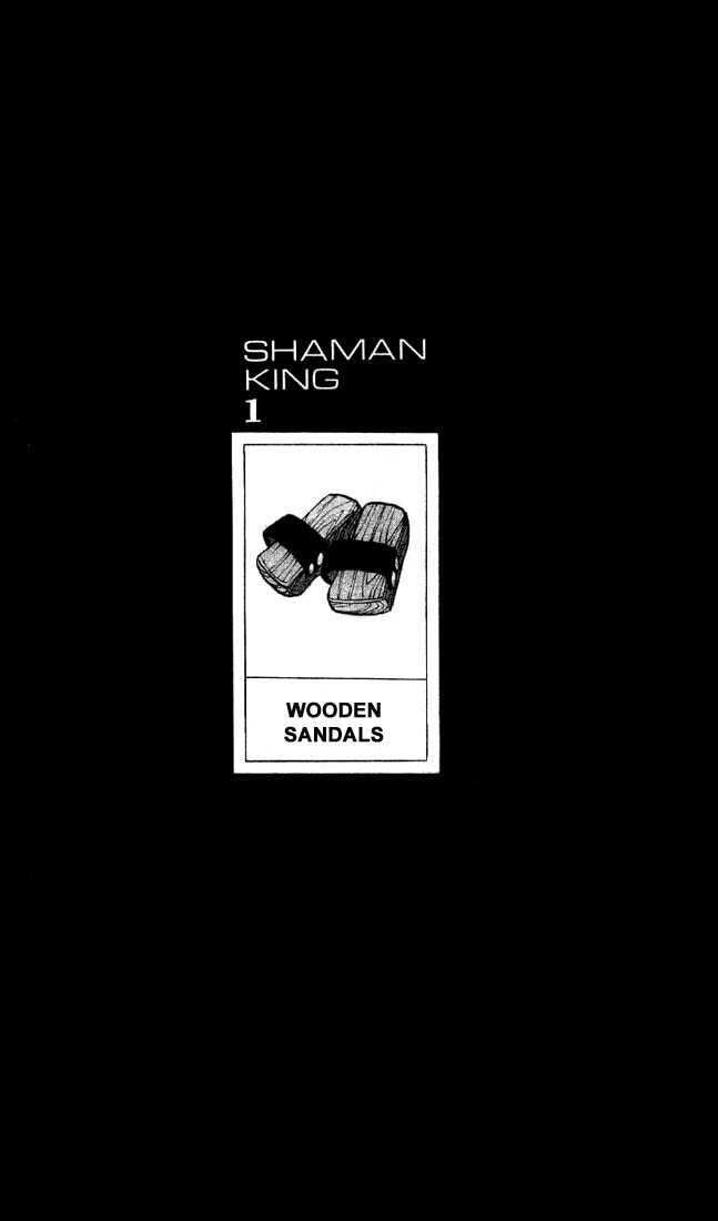 Shaman King 8