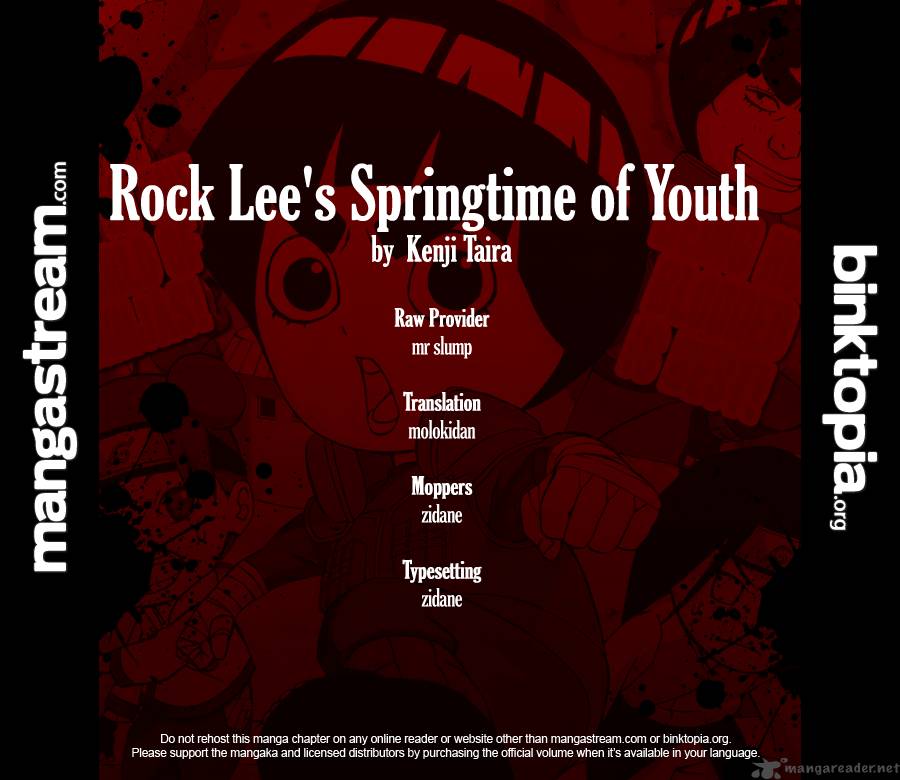 Rock Lee's Springtime of Youth 2