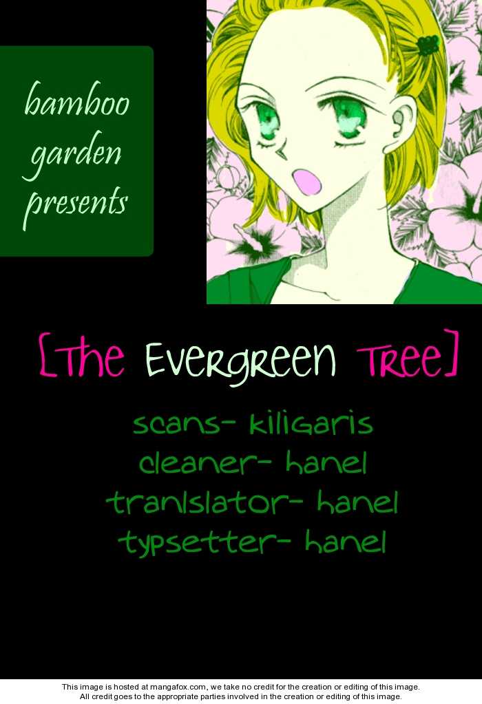 The Evergreen Tree 0